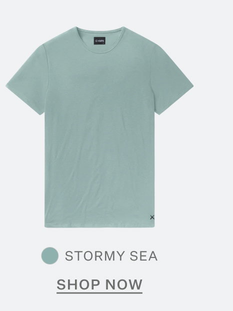 Stormy Sea