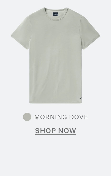 Morning Dove