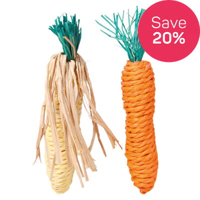 Save 20% on Trixie Set of Straw Toys