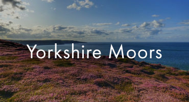 Yorkshire Moors