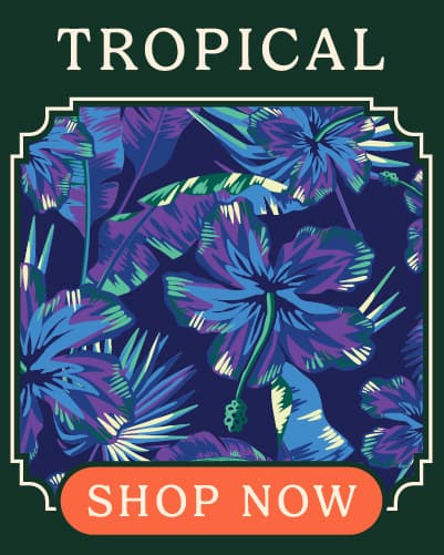 Paradise | Shop Now