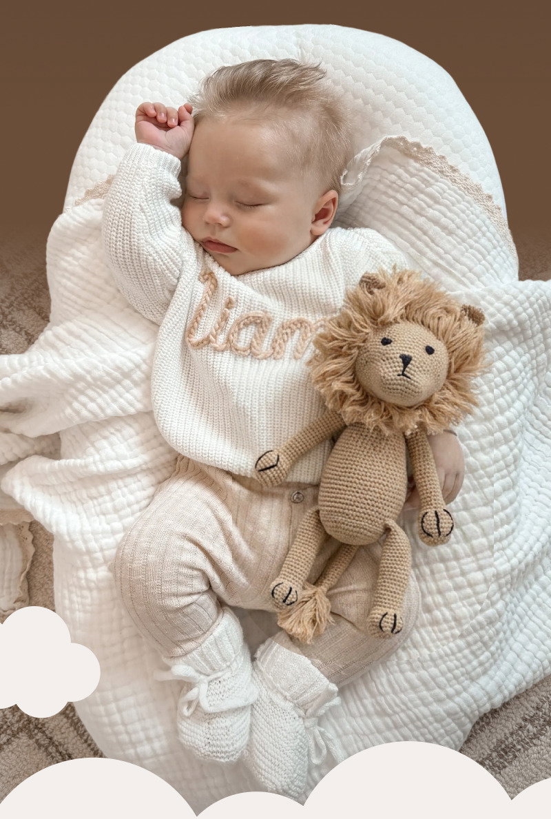 Sleeping baby wearing a personalized knit sweater while holding a plush lion toy on a textured cream blanket.