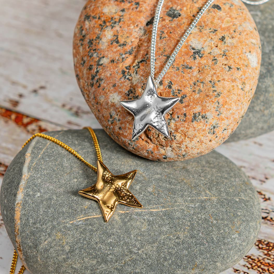 Silver & Gold Dazzling Star Jewellery 