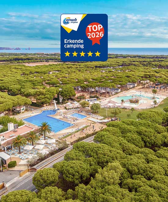 Cypsela Resort