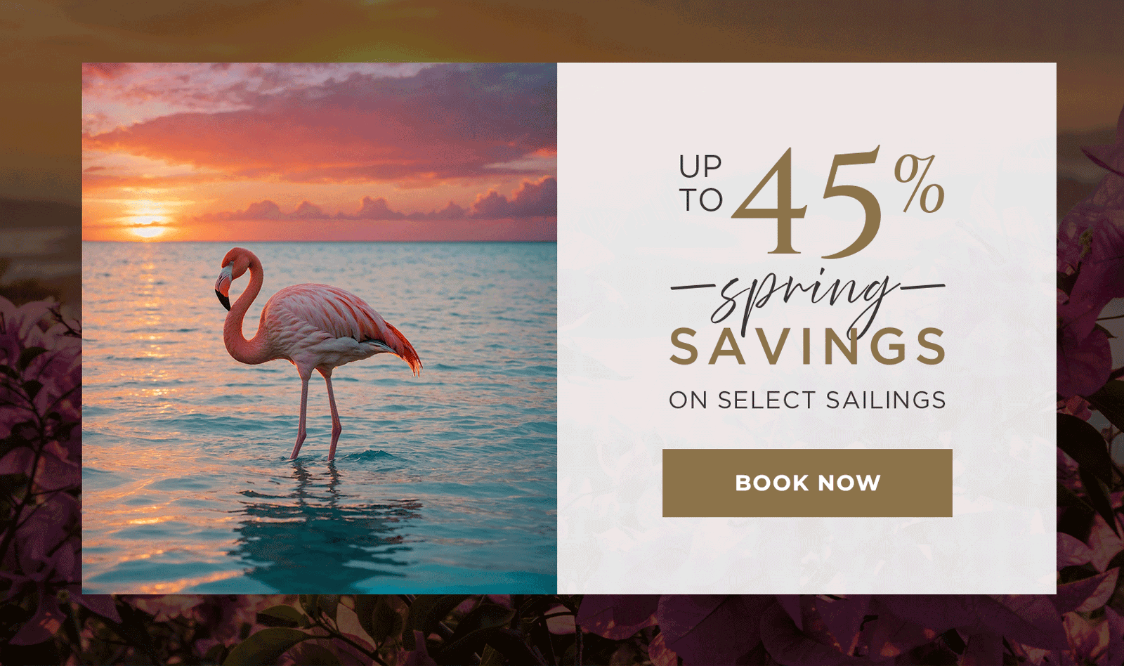 Last Chance To Save Up to 45% Savings On Select Voyages | Book Today