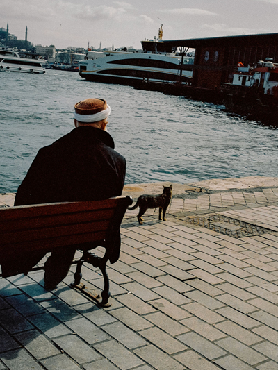 Postcard From. Read More