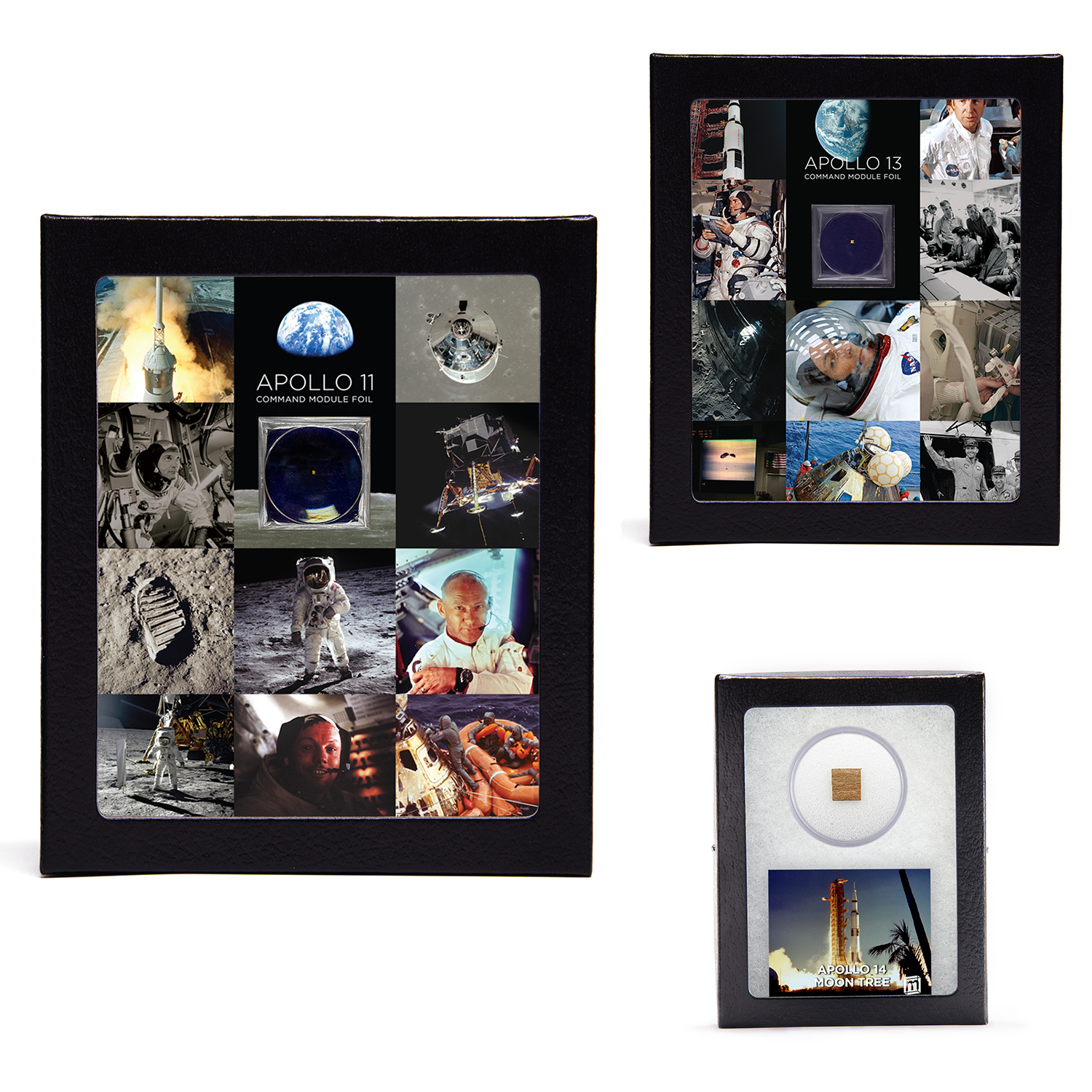 Apollo specimens displayed in glass-topped riker cases