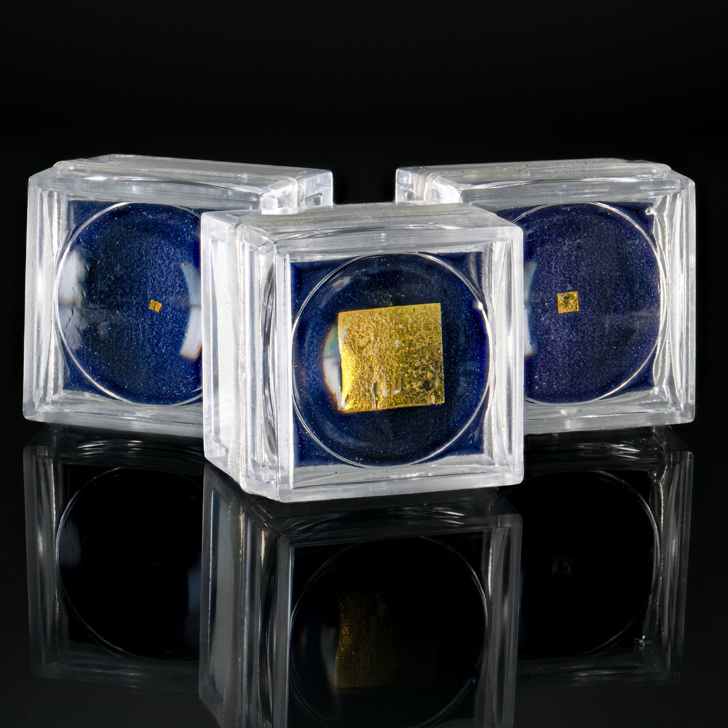Apollo specimens displayed in glass-topped riker cases