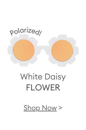 White Daisy Flower