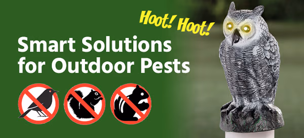 Smart Solutions for Outdoor Pests