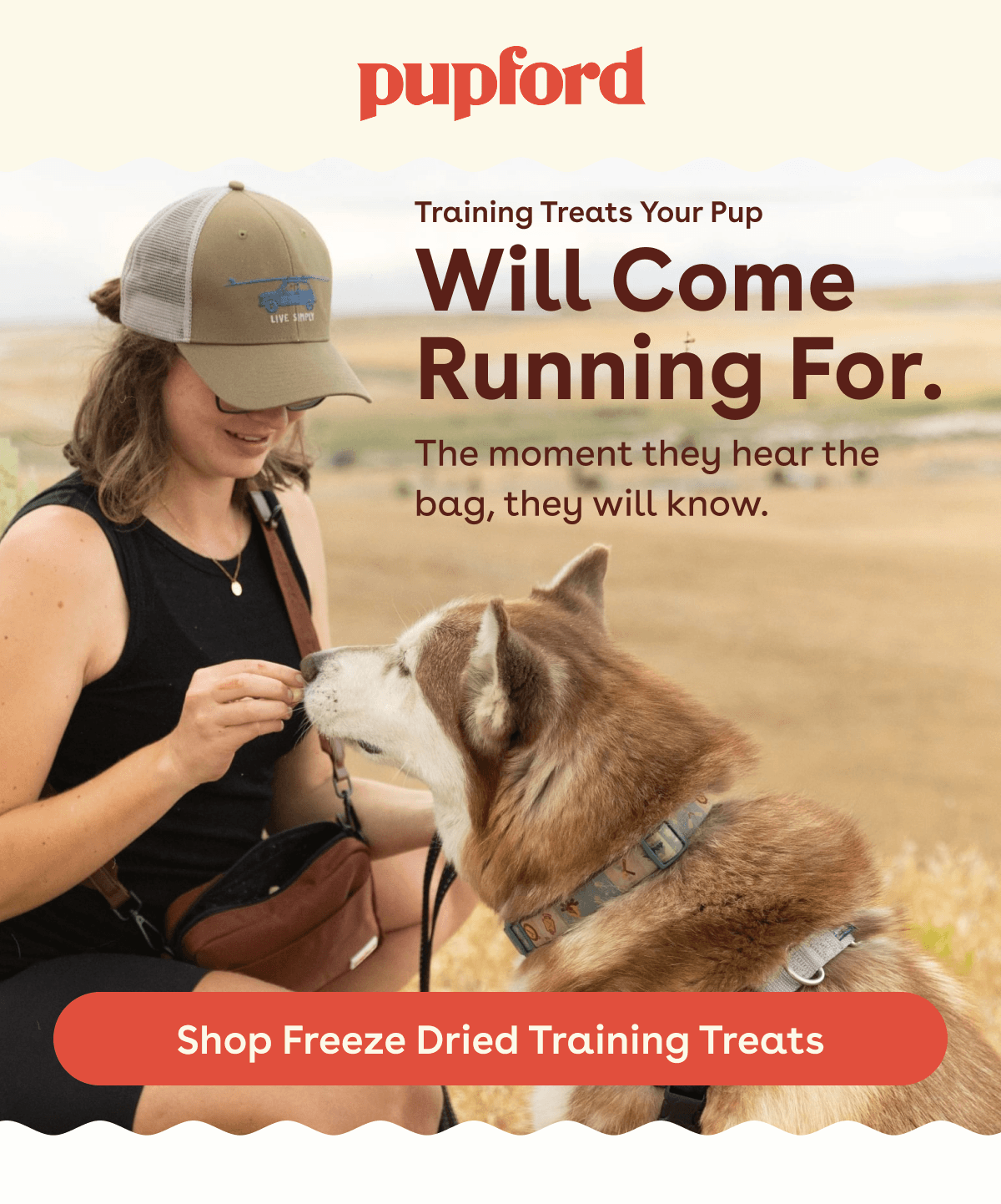 Shop freeze dried training treats 