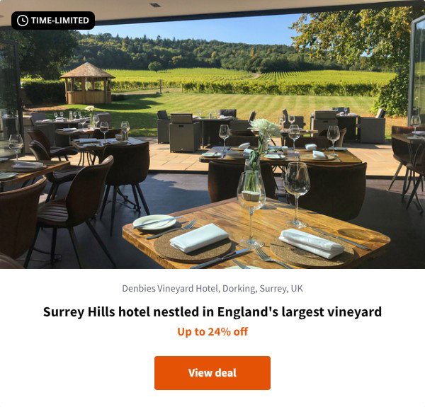 Surrey Hills hotel nestled in England's largest vineyard