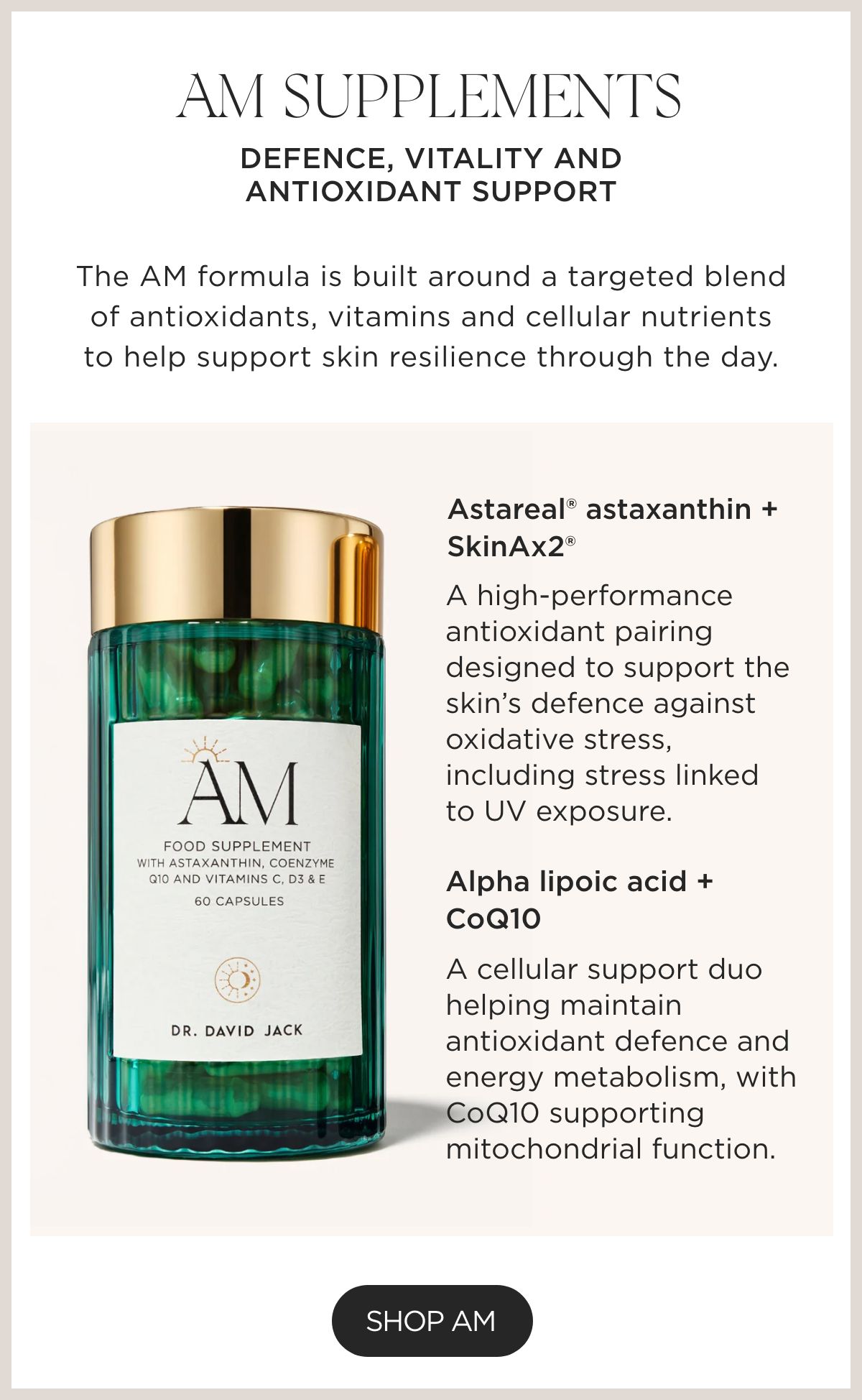 AM SUPPLEMENT- SHOP NOW