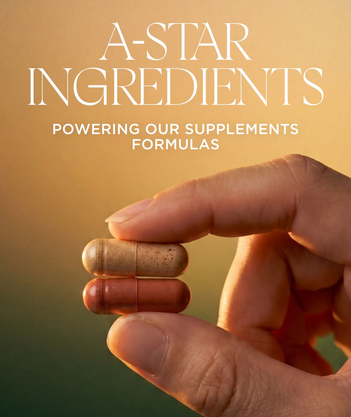 AM & PM SUPPLEMENT- DISCOVER THE FORMULA