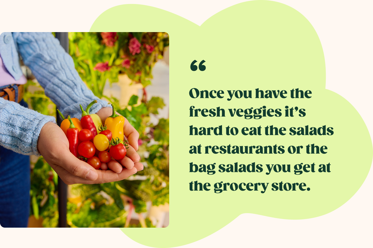 Once you have the fresh veggies it's hard to eat the salads at restaurants or the bag salads you get at the grocery store.