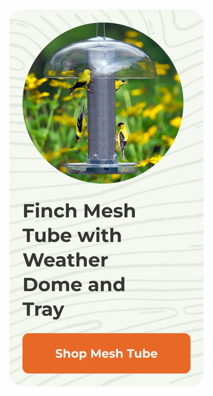 Finch Mesh Tube with Weather Dome and Tray
