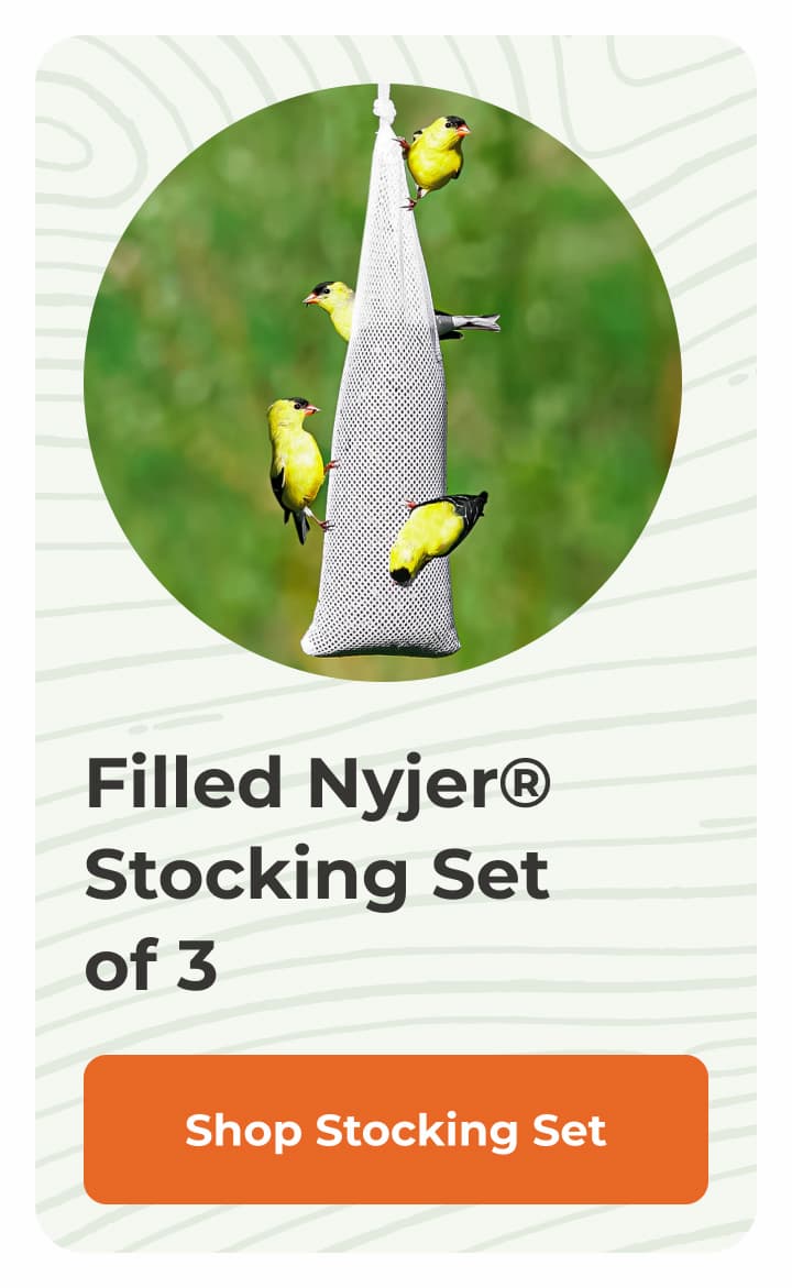 Filled Nyjer® Stocking Set of 3