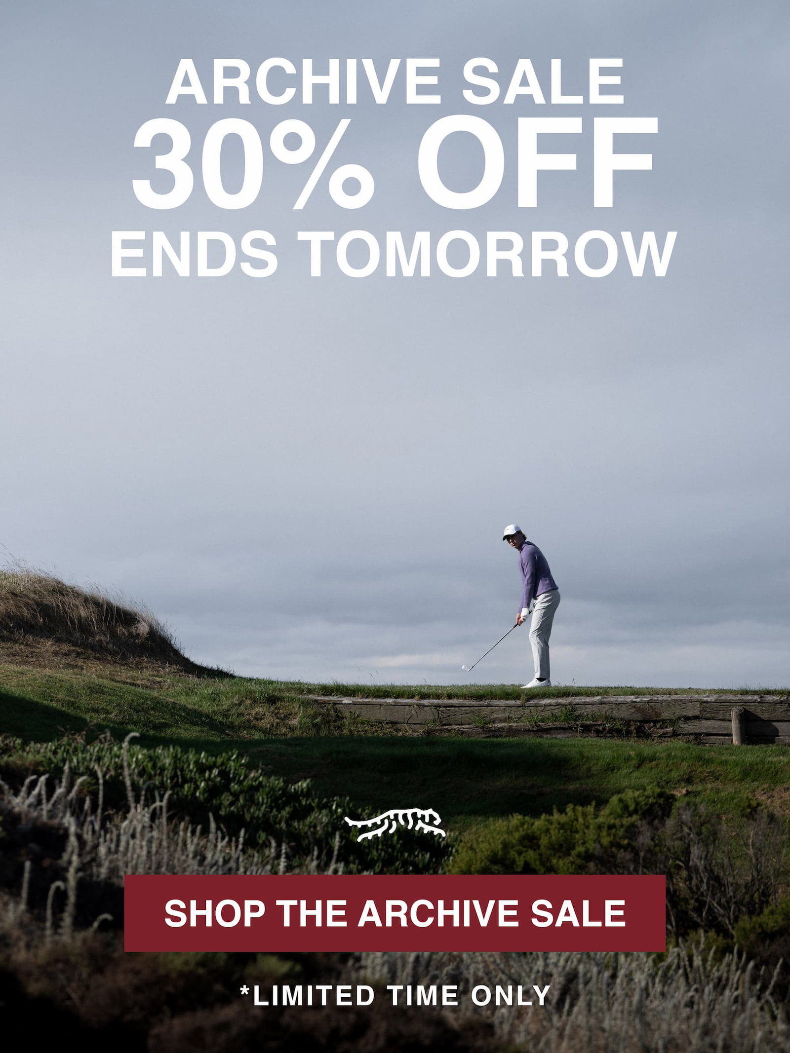 Archive Sale Launch Hero