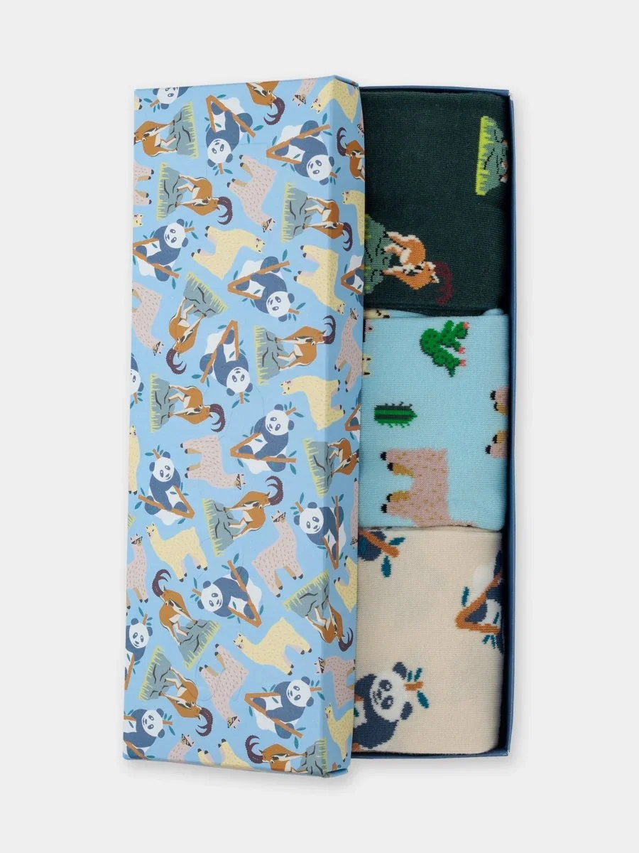 Image of Animal Adventures (3er Box)