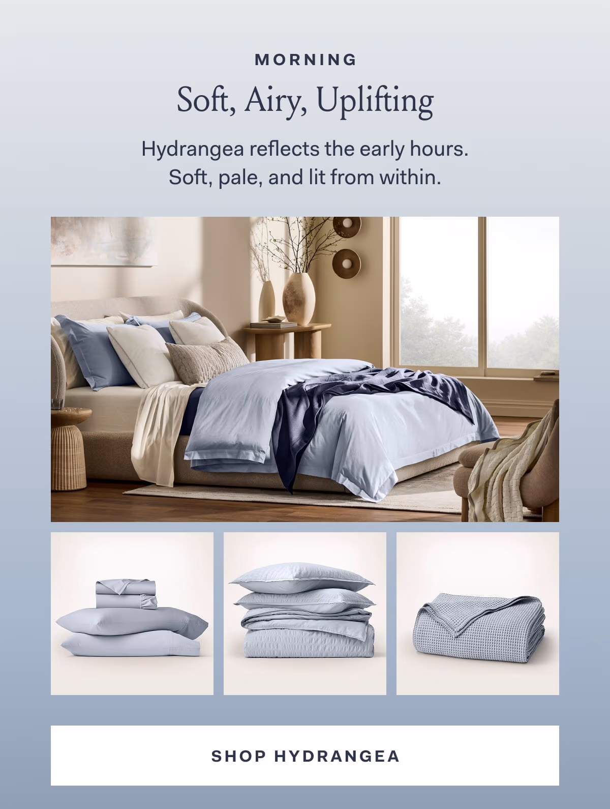Morning Soft, Airy, Uplifting Hydrangea reflects the early hours. Soft, pale, and lit from within. 