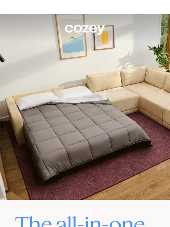 A sofa bed that has it all