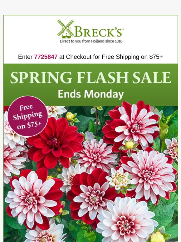 🌼 Spring clearance savings are almost over!