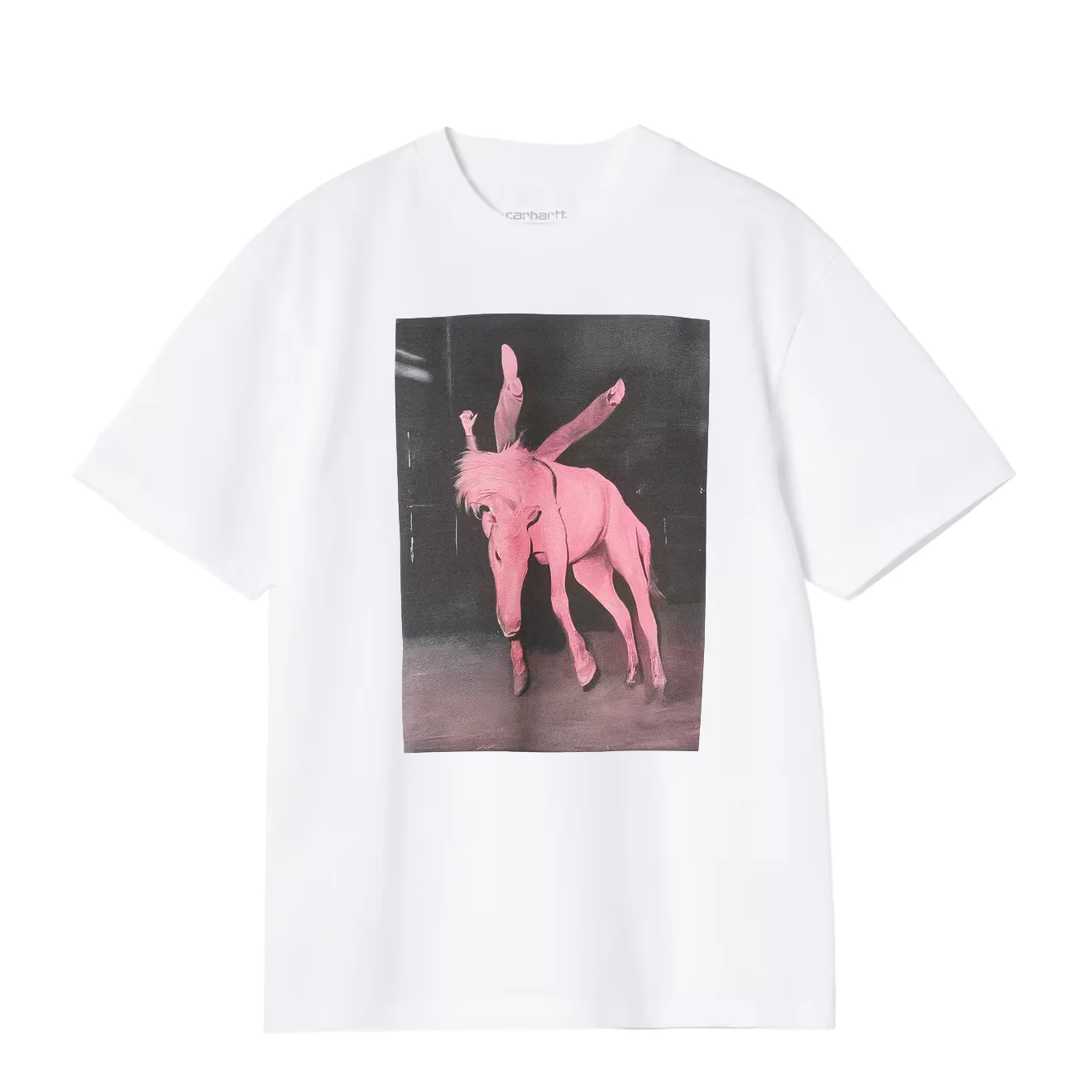 Image of Carhartt WIP Womens S/S Sean Hamilton T-Shirt White