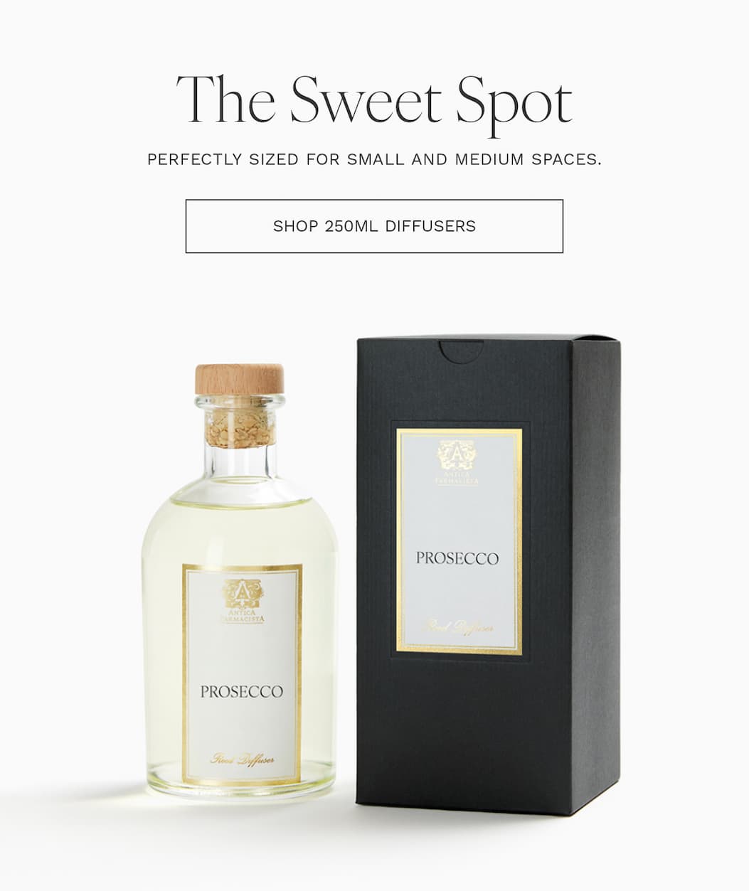 Your Guide to the World of Fragrance — Explore Now