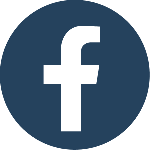 fb icon
