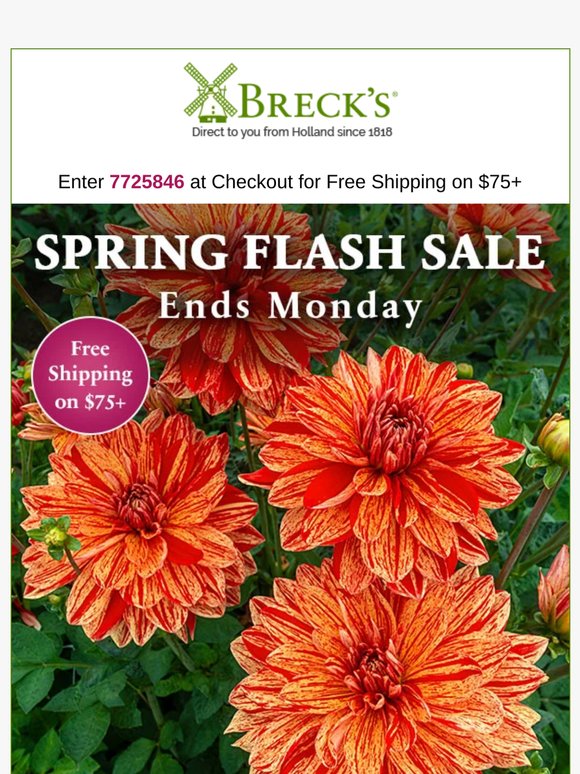 Spring Clearance Pricing & Free Shipping Available!
