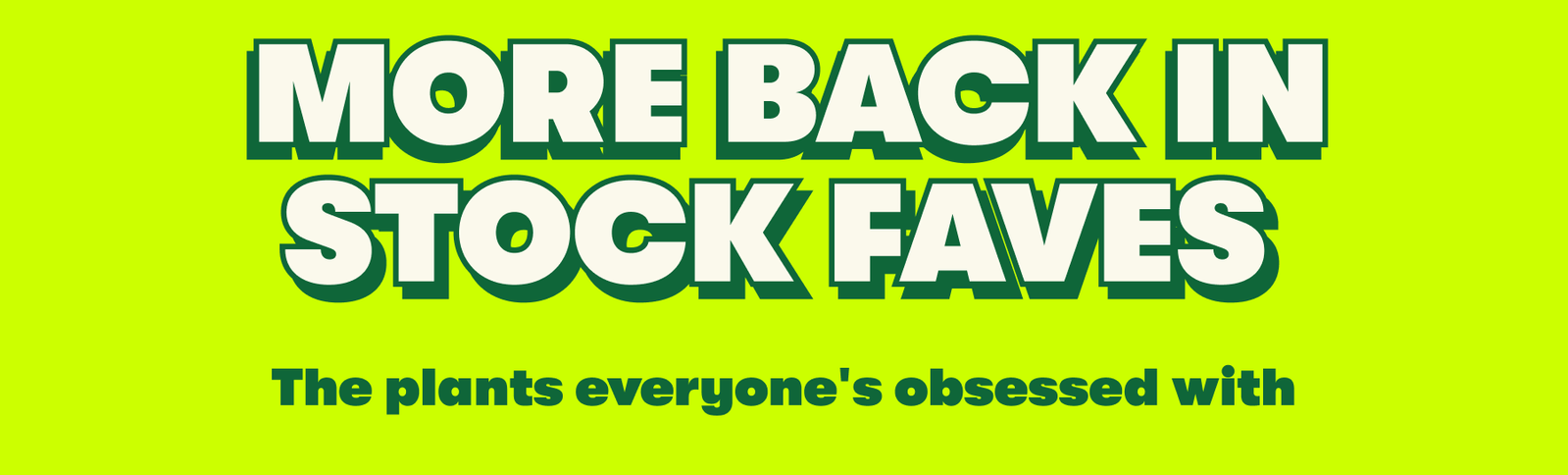 more back in stock faves