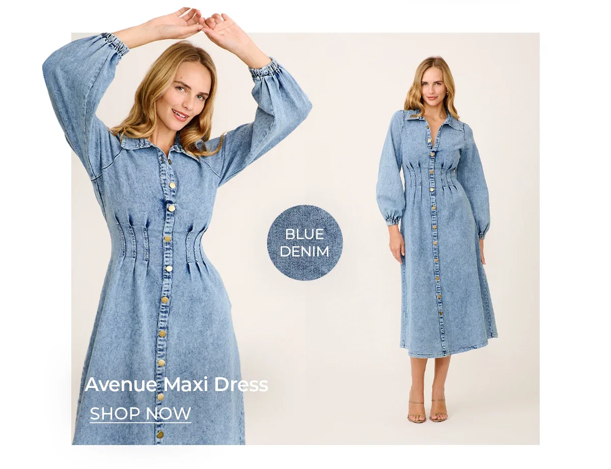 Avenue Maxi Dress in Blue Denim