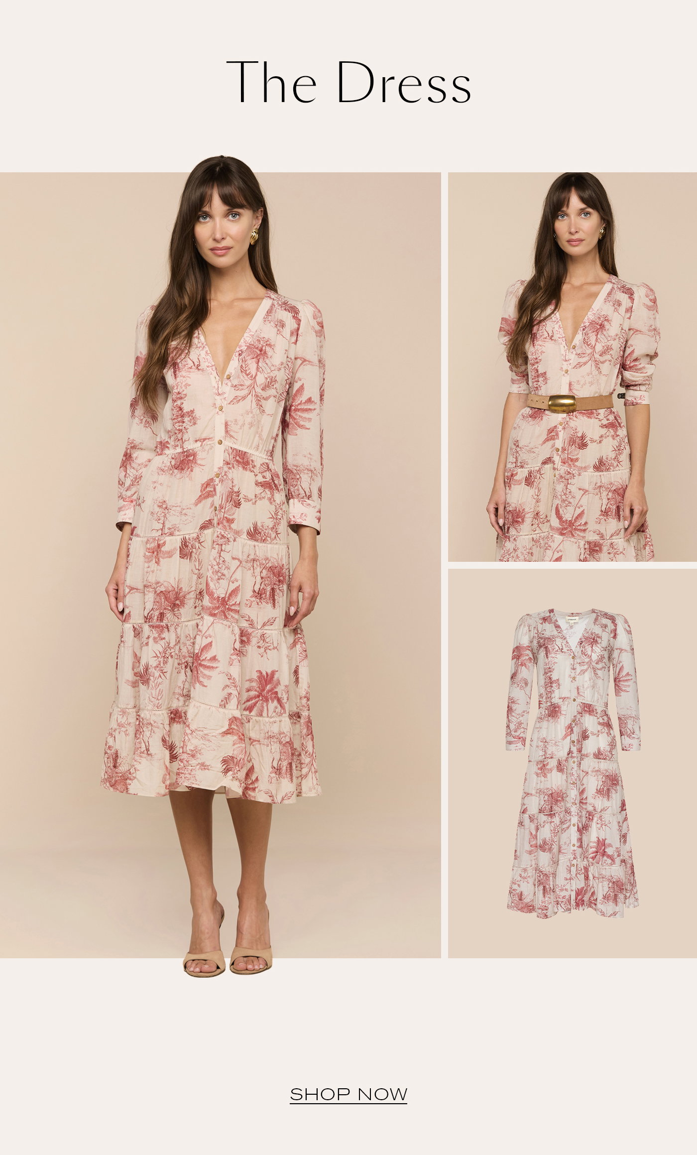 The Dress SHOP NOW