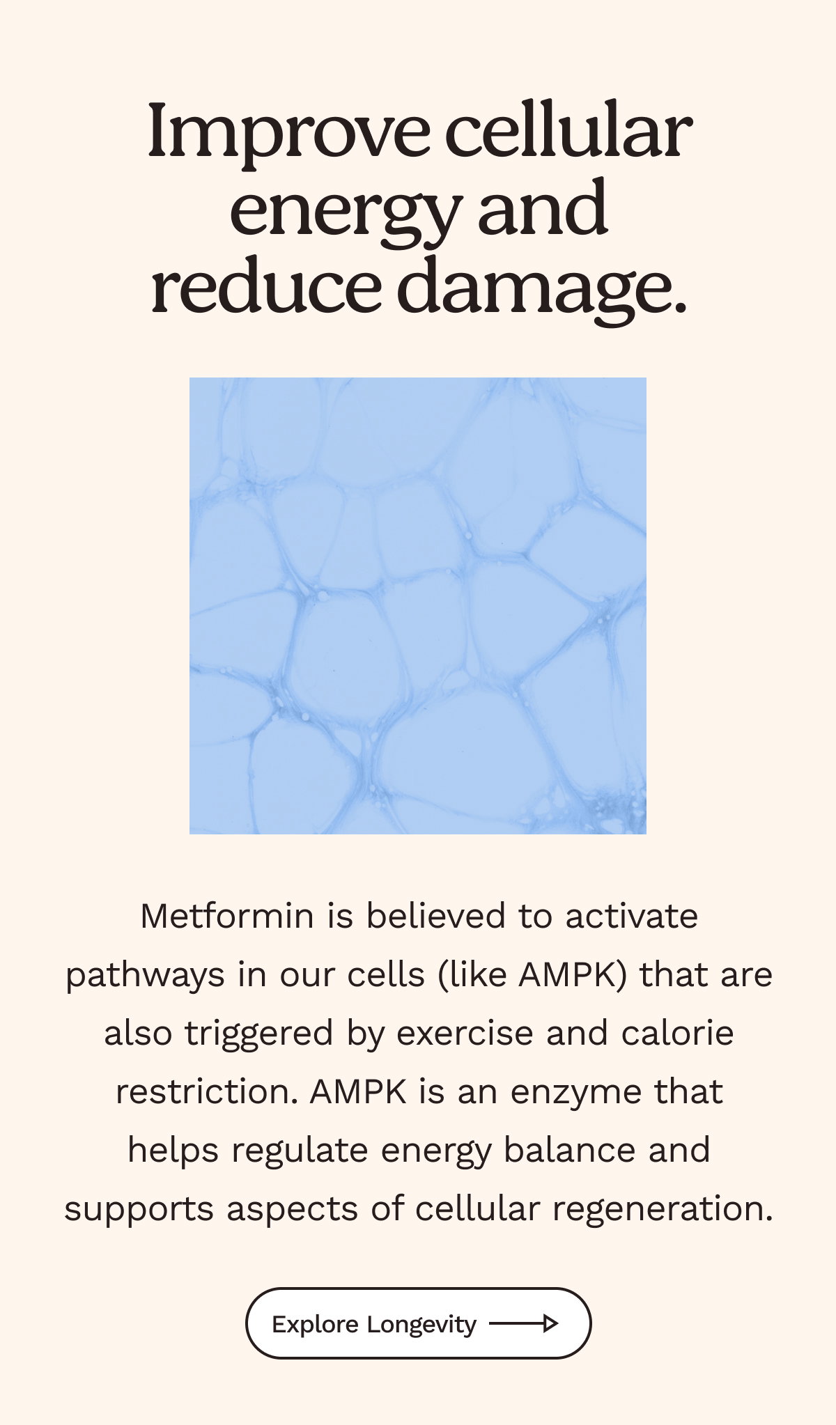 Improve cellular energy and reduce damage. 