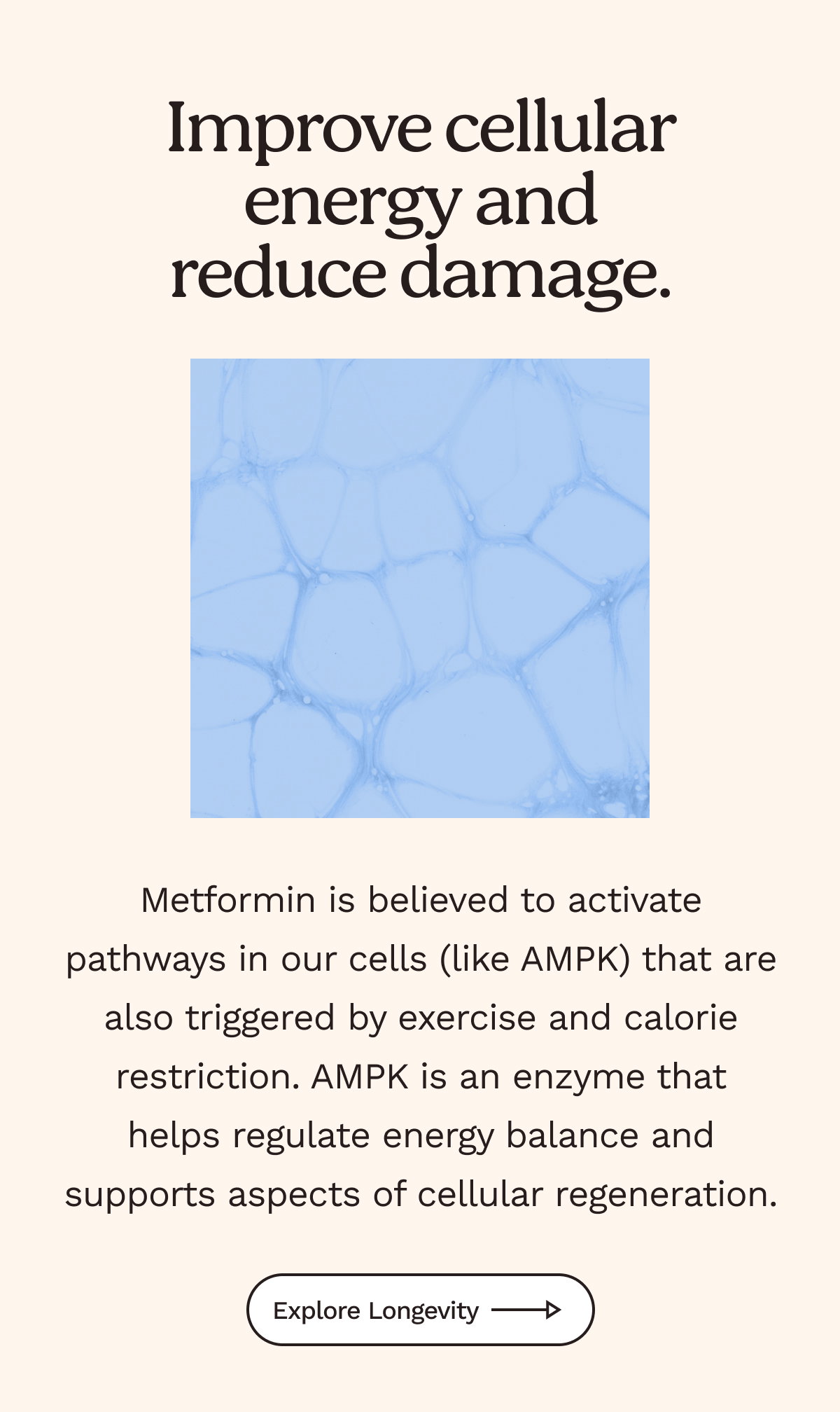 Improve cellular energy and reduce damage. 