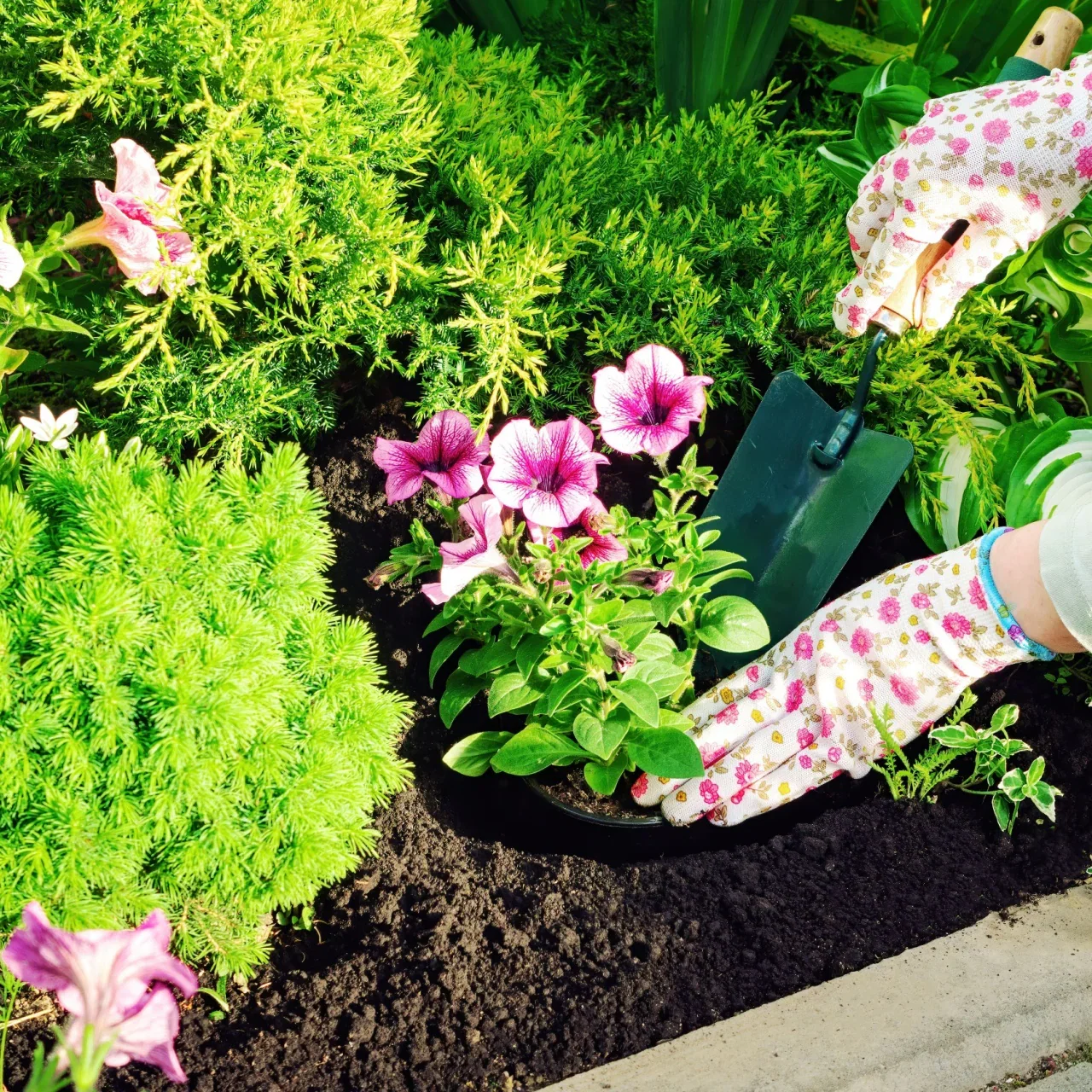 Image of Native Plant Subscription Box - 1 Plant Per Month Perfect For Your Zone