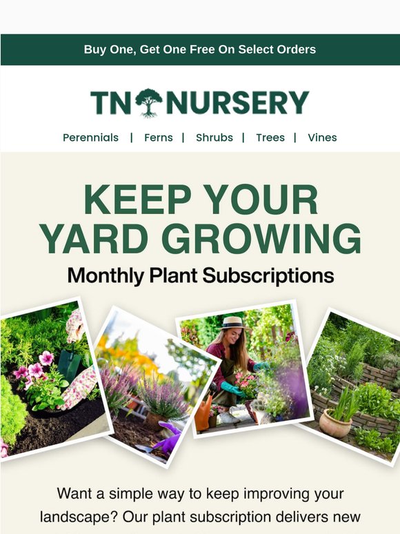 Plants Delivered Monthly 🌿