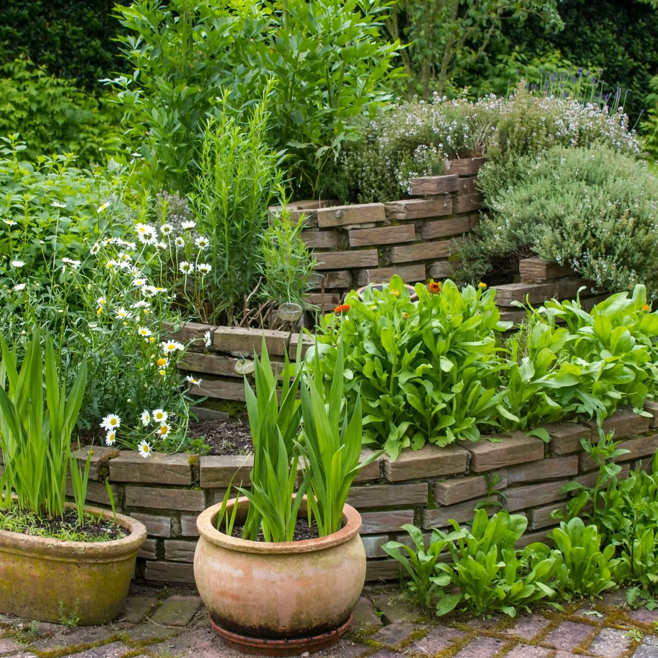 Image of Native Plant Subscription Box - 3 Plants Per Month Perfect For Your Zone