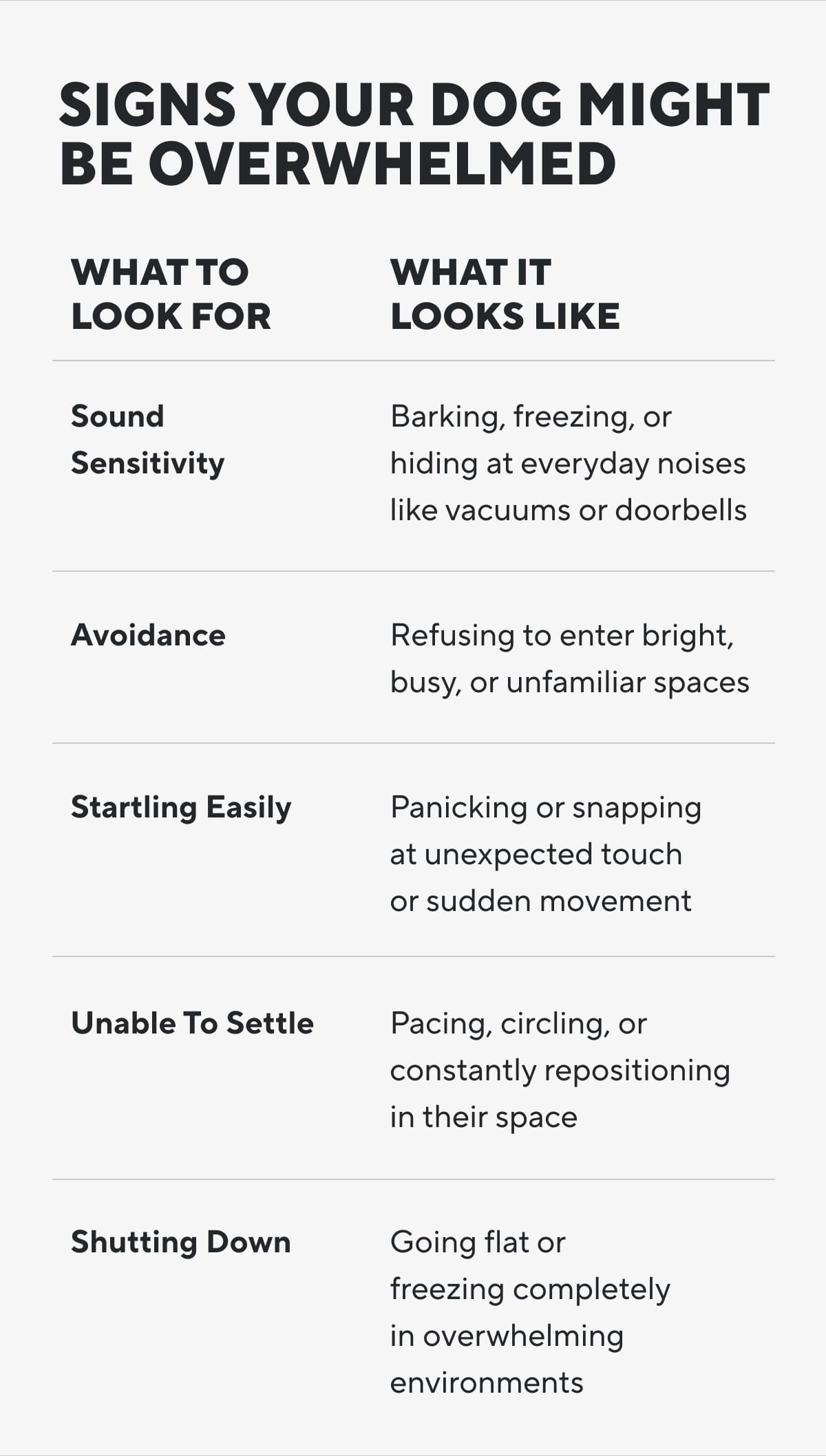 Signs Your Dog Might Be Overwhelmed