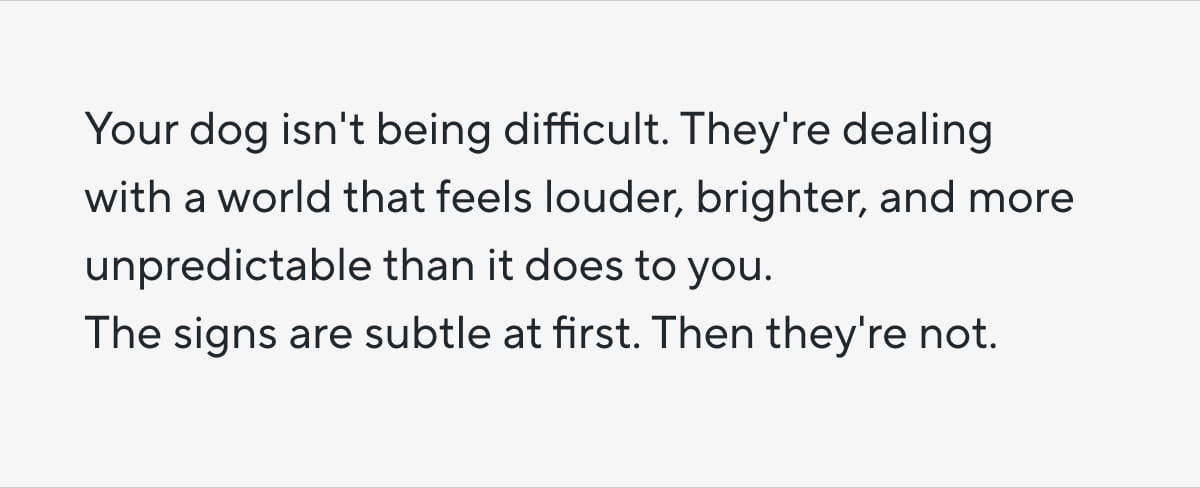 Your dog isn't being difficult. They're dealing with a world that feels louder, brighter, and more unpredictable than it does to you. The signs are subtle at first. Then they're not.