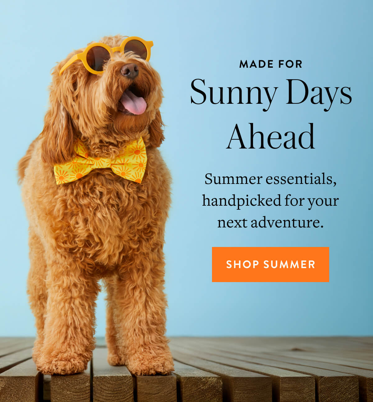 Shop Summer