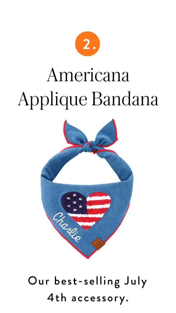 Shop americana applique