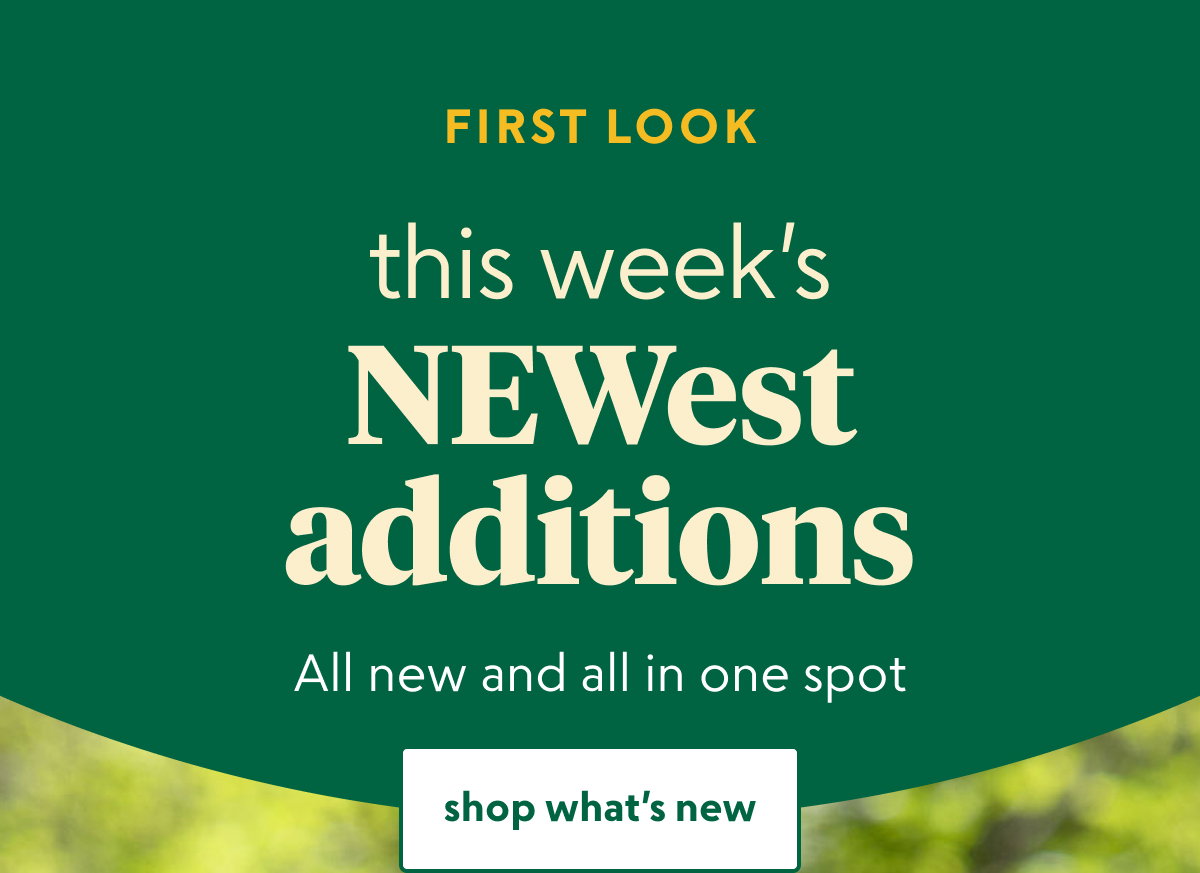 this-just-in