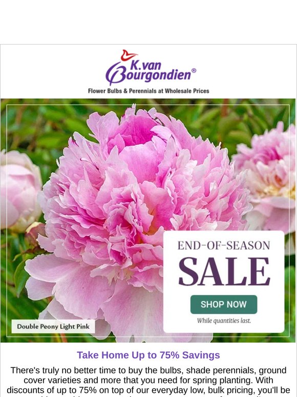 Good News...Our End-of-Season Sale Got Even Better