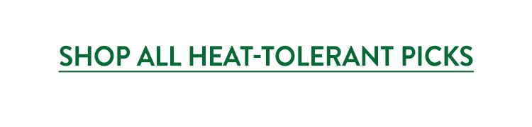 Heat Tolerant Seeds and Plants