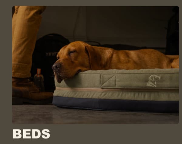 Beds