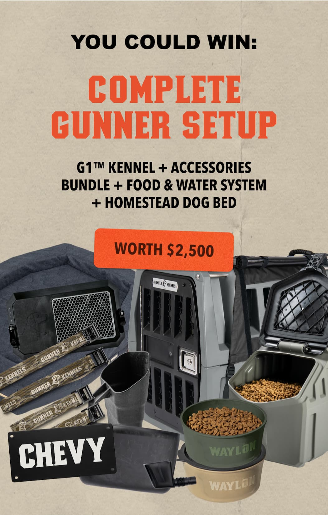 You Could Win: