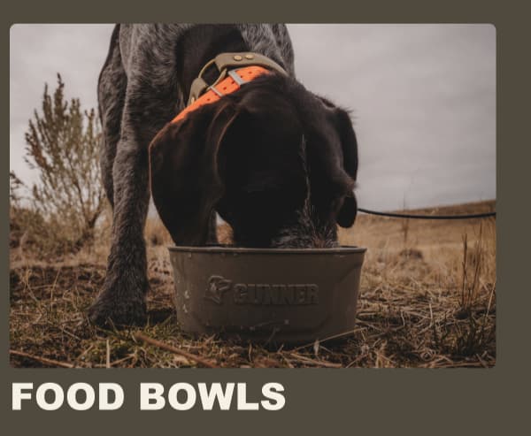 Food Bowls