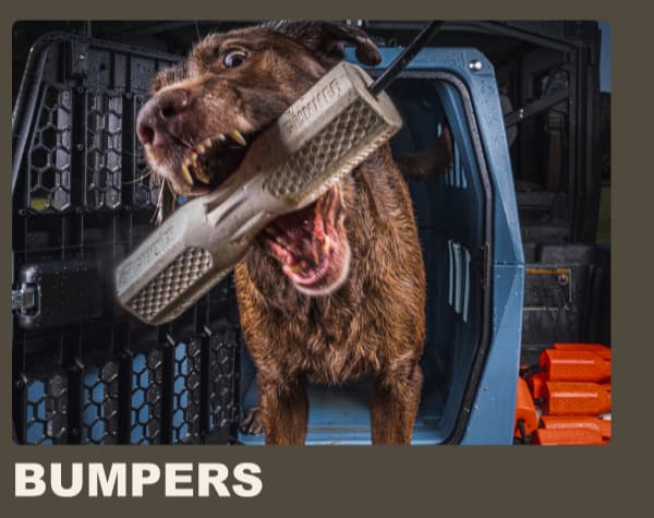 Bumpers