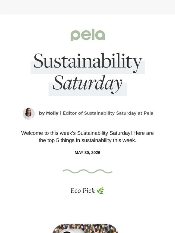 Join the Fermentation Revolution 🌱 | Sustainability Saturday